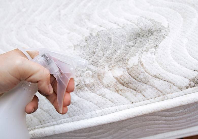 How to get mould out of fabric